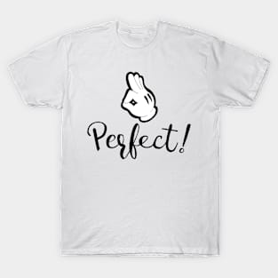 PERFECT T-Shirt